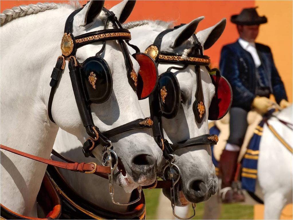Eurostars Hacienda La Boticaria Sevilla Alcalá de Guadaira Exterior foto
